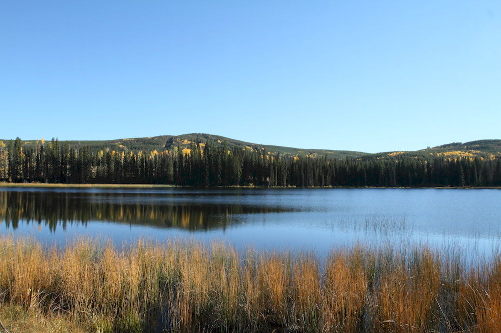 Lac Le Jeune Resort & Nature Centre Kamloops Eksteriør billede